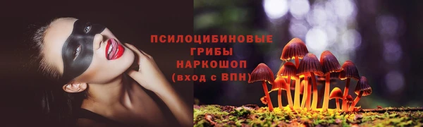 2c-b Магас