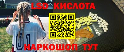 прущие грибы Конаково
